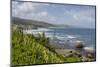 Bathsheba, St. Joseph, Barbados, West Indies, Caribbean, Central America-Frank Fell-Mounted Photographic Print