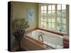 Bathtub with a View-null-Stretched Canvas
