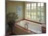 Bathtub with a View-null-Mounted Photographic Print