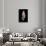Bathytoma Luehdorfi-Paul Starosta-Framed Stretched Canvas displayed on a wall