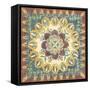 Batik Rosette I-Chariklia Zarris-Framed Stretched Canvas