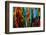 Batik, St. Kitts, St. Kitts and Nevis, Leeward Islands, West Indies, Caribbean, Central America-Robert Harding-Framed Photographic Print