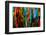 Batik, St. Kitts, St. Kitts and Nevis, Leeward Islands, West Indies, Caribbean, Central America-Robert Harding-Framed Photographic Print