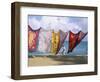 Batiks on Line on the Beach, Turtle Beach, Tobago, West Indies, Caribbean, Central America-Michael Newton-Framed Photographic Print