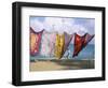 Batiks on Line on the Beach, Turtle Beach, Tobago, West Indies, Caribbean, Central America-Michael Newton-Framed Photographic Print