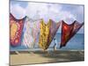 Batiks on Line on the Beach, Turtle Beach, Tobago, West Indies, Caribbean, Central America-Michael Newton-Mounted Photographic Print