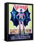 Batman (aka Batman: The Movie)-null-Framed Stretched Canvas