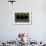 Batman Symbol-Cristian Mielu-Framed Art Print displayed on a wall