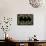 Batman Symbol-Cristian Mielu-Framed Stretched Canvas displayed on a wall