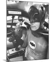 Batman-null-Mounted Photo