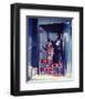 Batman-null-Framed Photo