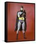 Batman-null-Framed Stretched Canvas