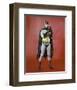 Batman-null-Framed Photo