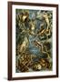 Batrachia Nature by Ernst Haeckel-null-Framed Art Print