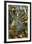 Batrachia Nature by Ernst Haeckel-null-Framed Art Print