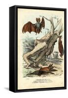 Bats, 1863-79-Raimundo Petraroja-Framed Stretched Canvas