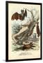 Bats, 1863-79-Raimundo Petraroja-Framed Premium Giclee Print