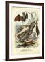 Bats, 1863-79-Raimundo Petraroja-Framed Giclee Print
