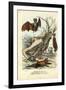 Bats, 1863-79-Raimundo Petraroja-Framed Giclee Print