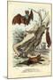 Bats, 1863-79-Raimundo Petraroja-Mounted Giclee Print