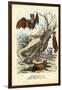 Bats, 1863-79-Raimundo Petraroja-Framed Giclee Print