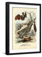 Bats, 1863-79-Raimundo Petraroja-Framed Giclee Print