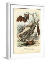 Bats, 1863-79-Raimundo Petraroja-Framed Giclee Print