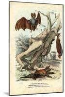 Bats, 1863-79-Raimundo Petraroja-Mounted Giclee Print