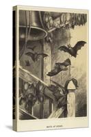 Bats at Home-null-Stretched Canvas