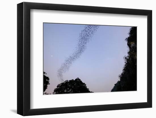 Bats Cave, Battambang, Battambang Province, Cambodia, Indochina, Southeast Asia, Asia-Nathalie Cuvelier-Framed Photographic Print