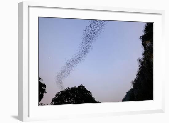 Bats Cave, Battambang, Battambang Province, Cambodia, Indochina, Southeast Asia, Asia-Nathalie Cuvelier-Framed Photographic Print