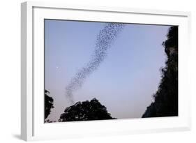 Bats Cave, Battambang, Battambang Province, Cambodia, Indochina, Southeast Asia, Asia-Nathalie Cuvelier-Framed Photographic Print