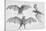 Bats. (Chiroptera), 1885-null-Stretched Canvas