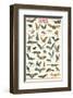 Bats-null-Framed Premium Giclee Print