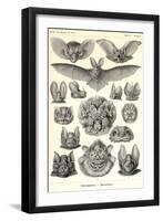 Bats-Ernst Haeckel-Framed Art Print