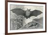 Bats-null-Framed Art Print