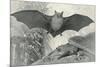 Bats-null-Mounted Art Print