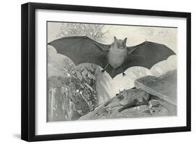 Bats-null-Framed Art Print