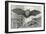 Bats-null-Framed Art Print