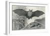 Bats-null-Framed Art Print