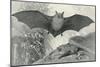 Bats-null-Mounted Art Print