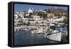 Batsi Harbour, Andros, Cyclades Islands, Greek Islands, Greece, Europe-Rolf Richardson-Framed Stretched Canvas