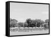 Battalion Ready for Inspection, United States Military Academy, West Point, N.Y.-null-Framed Stretched Canvas