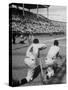 Batter Getting Ready for Pitch While Other Players are Waiting their Turn to Bat-Allan Grant-Stretched Canvas