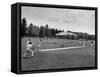 Batter Up, Ball in Play During a Game of Cricket-Peter Stackpole-Framed Stretched Canvas