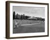 Batter Up, Ball in Play During a Game of Cricket-Peter Stackpole-Framed Photographic Print