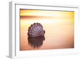 Battered But Beautiful-Chris Moyer-Framed Photographic Print