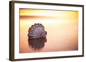 Battered But Beautiful-Chris Moyer-Framed Photographic Print