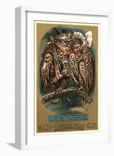 Battered Owl Couple-null-Framed Art Print