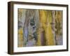 Battery Abstract 1-Don Paulson-Framed Giclee Print